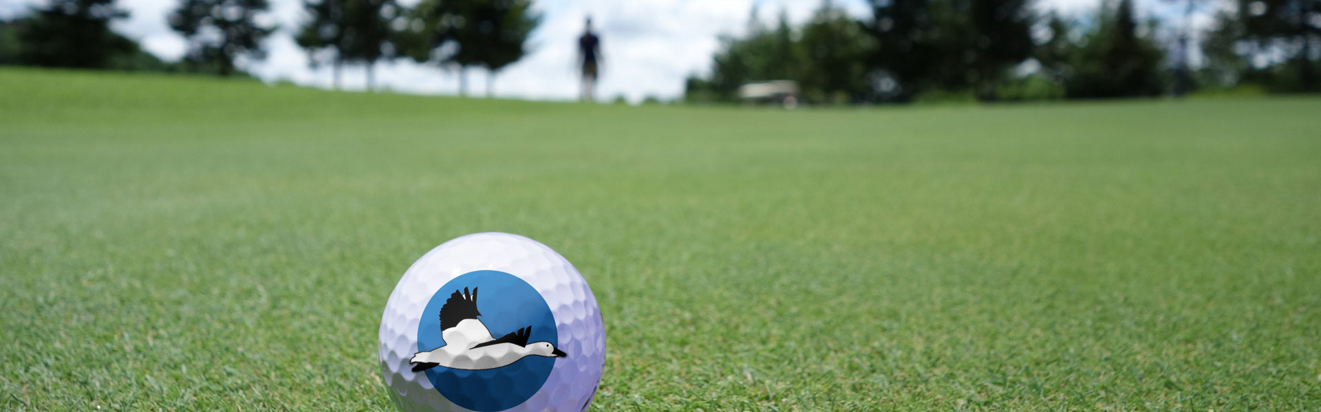 Balle de golf avec logo du festival de l'oie des neiges